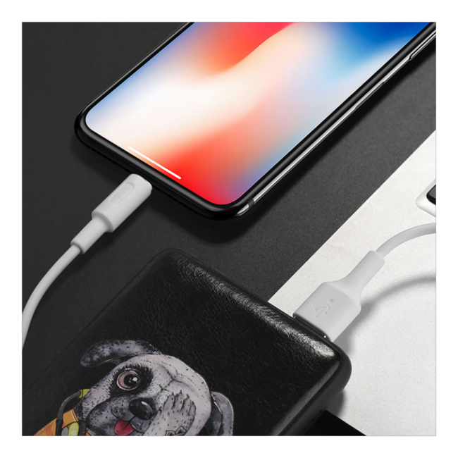 hoco. USB kabl za iPhone, Lightning kabl, 1 met., 2 A, bijela - X25 Soarer Lightning, White - Image 5