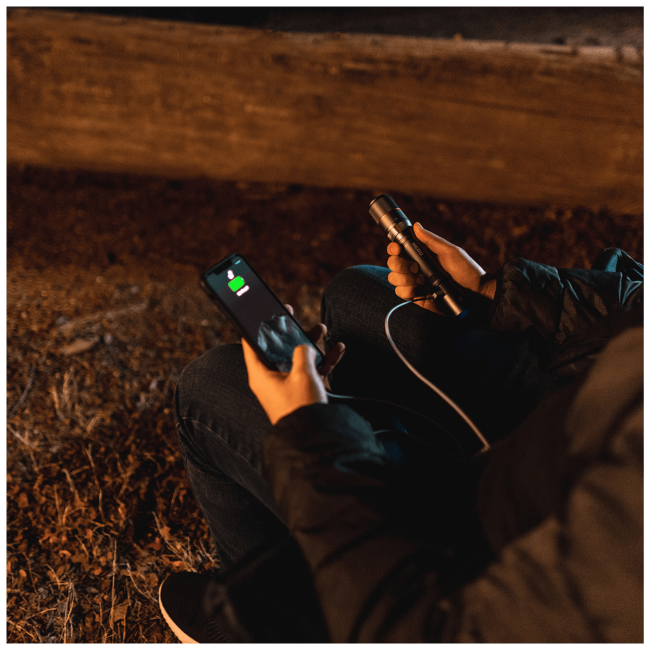 Nebo Ručna svjetiljka, LED, 2000 lm, 2000 mAh, Power Bank, IP67 - NEB-FLT-0020-G - Image 5