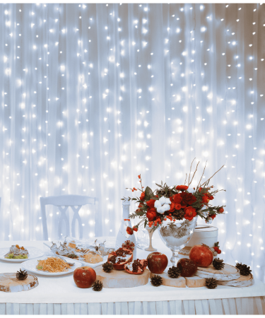 home Dekorativna LED rasvjeta, LED svjetlosna zavjesa - DLF 210/WH
