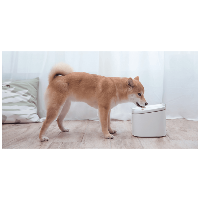 Xiaomi Fontana za kućne ljubimce - Smart Pet Fountain - Image 5