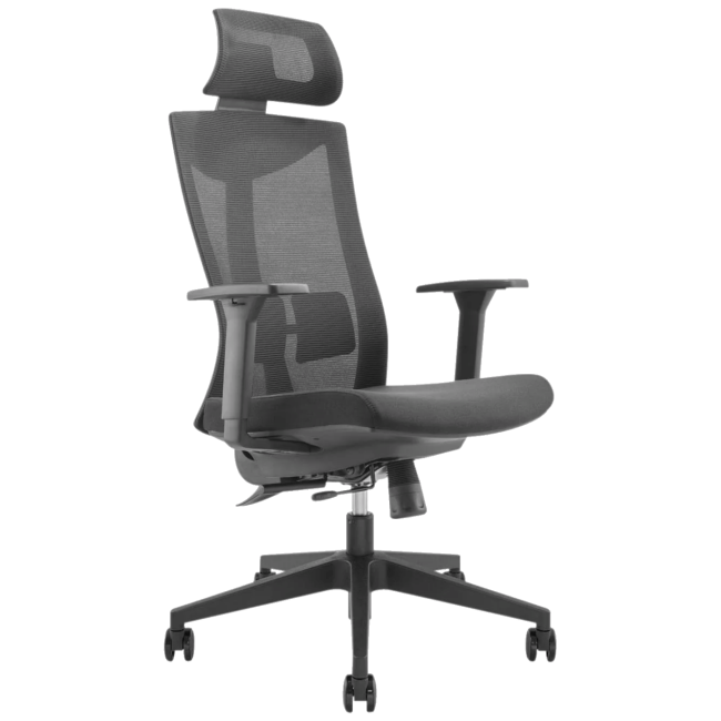 Ergo Office Stolica, uredska, 63 x 50 x 120-130 cm - ER-414