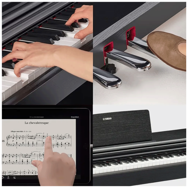 Yamaha Digitalni klavir, 88 tipki, 2 x 6W, 2 x 12 cm zvučnici - YDP-105B - Image 4