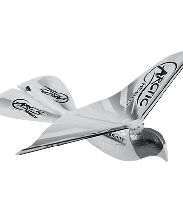 Arctic Bird SR111