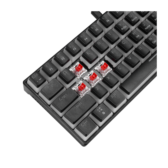 Tastatura gaming RAMPAGE RADIANT K11 black, Type-C, RGB, red switch, US layout, pudding keycaps - Image 7