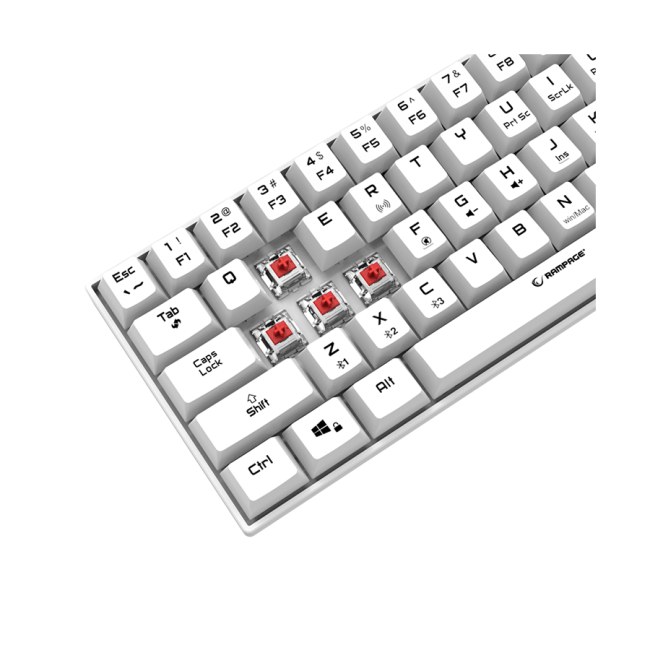Tastatura gaming RAMPAGE KB-RX63 B-ATOM White Bluetooth RGB Backlight RED SWITCH US Layout 63 Mini - Image 6