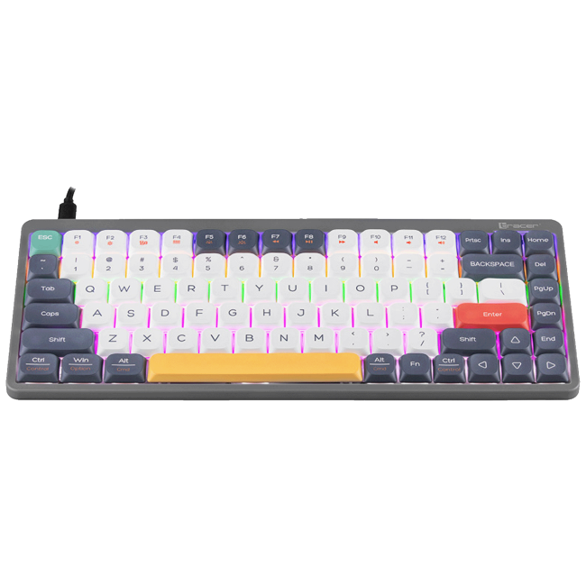 Tracer Tastatura sa osvjetljenjem, USB/BT/WiFi, gaming, mehanička - FINA 84 Grey - Image 3