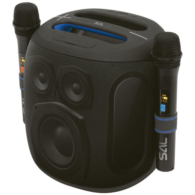 SAL Zvučnik bežični sa mikrofonom,Boombox,Bluetooth,100W,IPX5 - PARCUBE - Image 5