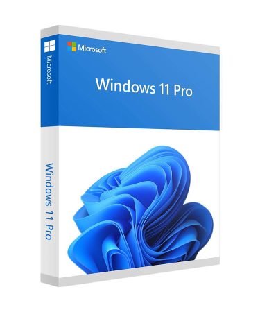 DSP Win 11 PRO Eng 64-bit FQC-10528