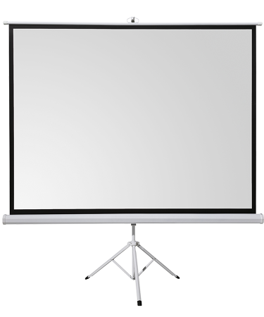 Platno za projektor na stalku tripodu Everest TPP-180 180x180cm, 40673