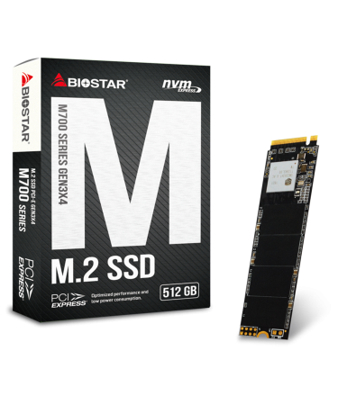 SSD BIOSTAR M.2 NVMe M700-512GB