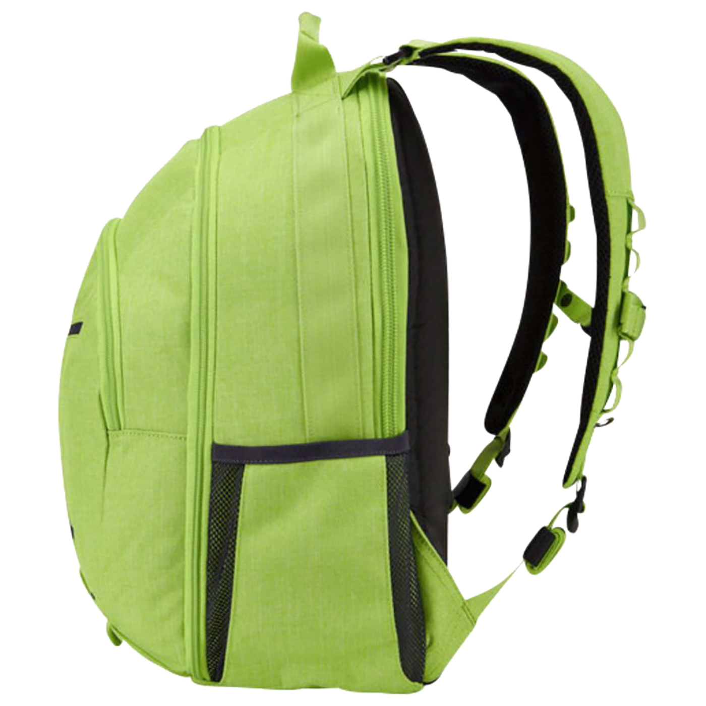 Case Logic Ruksak za laptop 15.6", Berkeley II - BPCA315 - Image 4