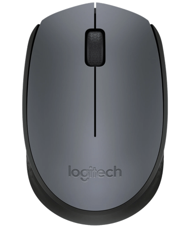 Logitech Miš bežični, 2.4 GHz, 1000 dpi, USB nano - M170