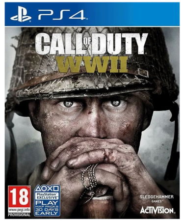 Activision Igra PlayStation 4: Call of Duty WWII - PS4 Call of Duty World War 2