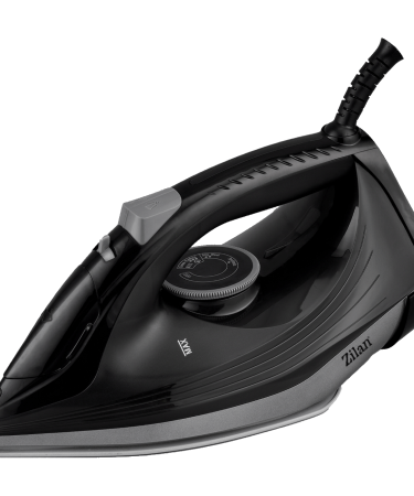 Zilan Pegla na paru, 2600W - ZLN8603
